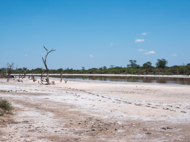 Chaco - Laguna Capitán